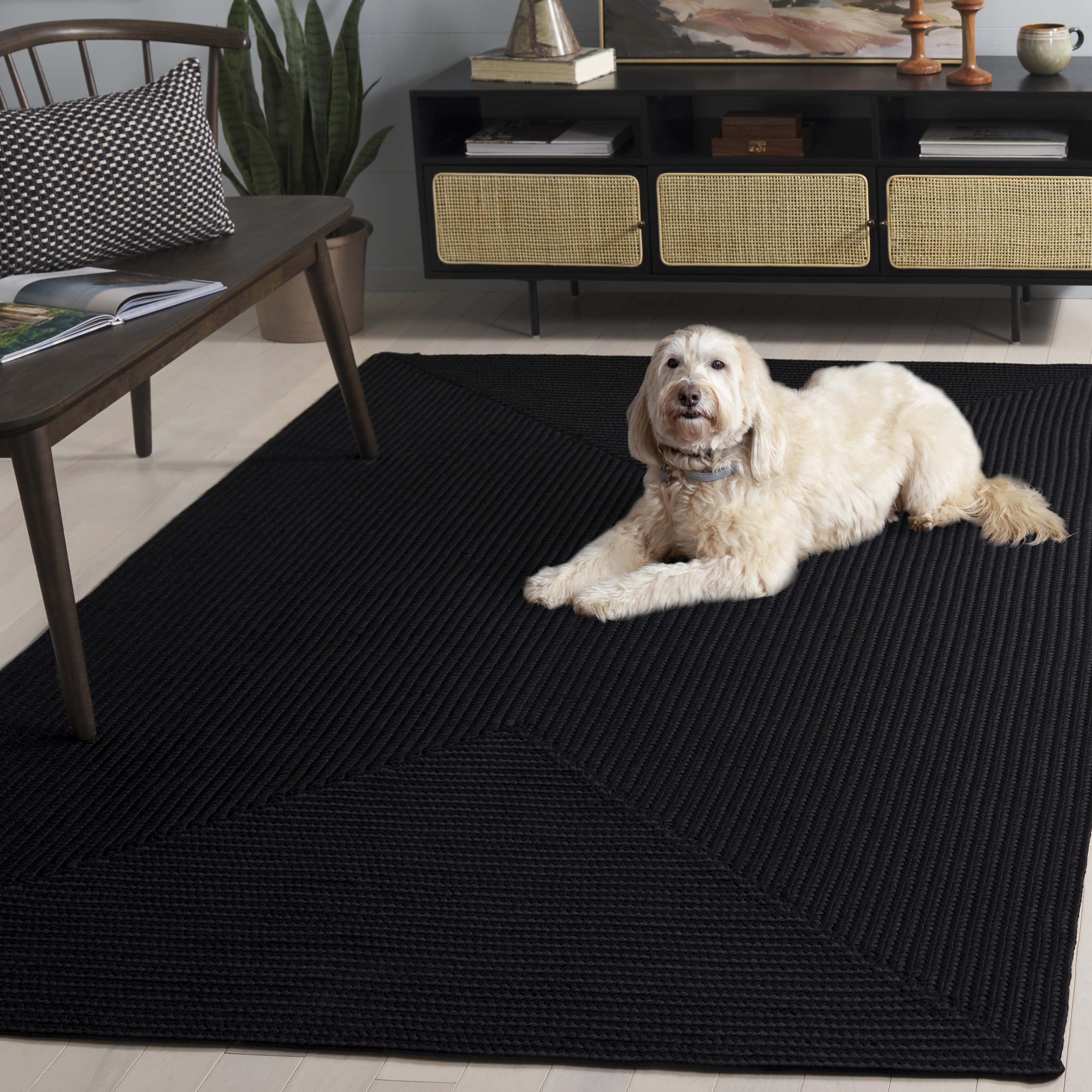 SAFAVIEH Braided Rishika Solid Machine Washable Reversible Area Rug, Black, 2' x 3'