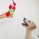 thumbnail image 3 of Mascota Perro Juguete Interactivo Masticar Mordida Chirriante Juguete de goma Regalo de Navidad para mascotas, 3 of 7