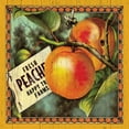 thumbnail image 3 of Marrott, Stephanie 15x15 Black Modern Framed Museum Art Print Titled - Peach Label, 3 of 5