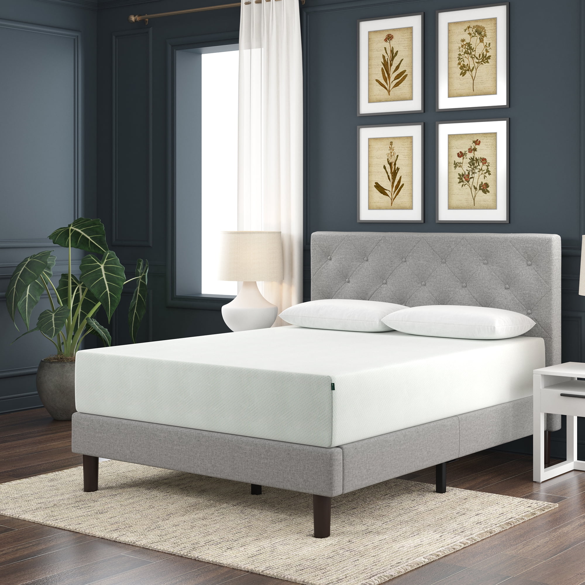 Zinus Spa Sensations Green Tea Rest Well Queen Adult 12 Medium Memory Foam Mattress