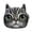 F, variant on CZSCPDAW Women's Lion Face Coin Purse with Zipper Closure and Compact Storage for Cards Coins Keys and Daily Carry