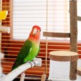 thumbnail image 3 of Pizarra de salto doméstico Jumping Stand Home Springboard Bird Board Board, 3 of 5