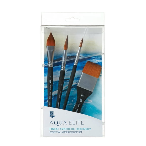 Princeton Brush Professional Boxed Set, Aqua Elite