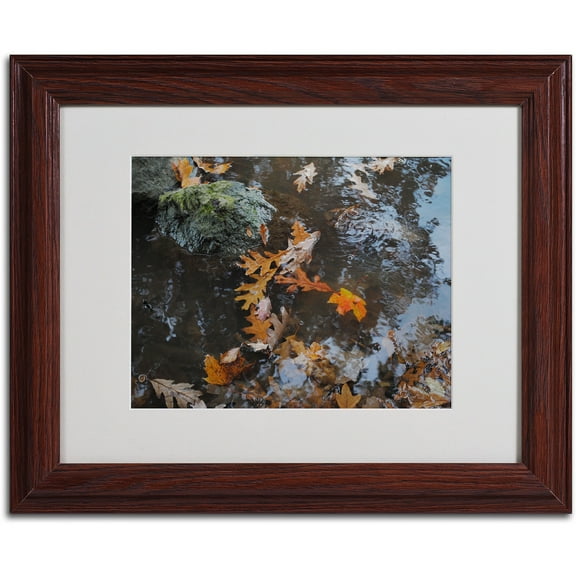 Trademark Fine Art "Buoyant" by Monica Fleet, Wood Frame