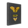 thumbnail image 2 of Trademark Fine Art 'Butterflies on Slate I' Canvas Art by Naomi McCavitt, 2 of 4