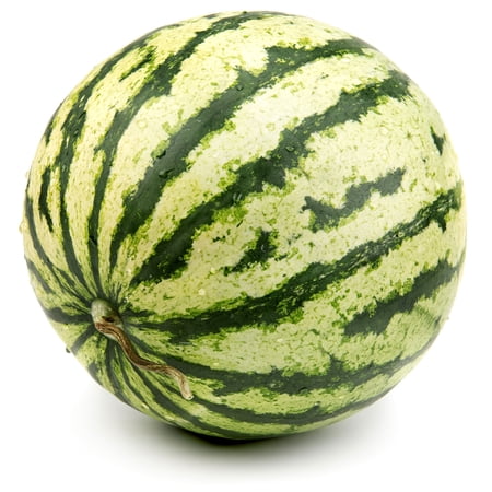 Watermelon Seeds - Dixie Queen - 5 Lb ~32 000 Seeds - Citrullus lanatus - Farm & Garden Vegetable / Fruit Seeds - Non-GMO Heirloom Open Pollinated Annual