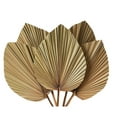 thumbnail image 2 of Decoración de Habitación con Hojas de Palma Secas, 10 Piezas, 18 Pulgadas de Alto X 10 Pulgadas de , Decoración Grande de Hoja de Palma Natural para Un Hermoso Aspecto Bohemio, 2 of 5