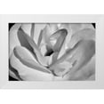 thumbnail image 3 of Brian Moore 14x11 White Modern Wood Framed Wall Art Titled - Macro Flower I, 3 of 5