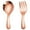 Rose Gold, variant on Hariumiu 2Pcs/Set Stainless Steel Baby Spoon Fork Set Short Handle Mirror Polished Mini Ice Cream Dessert Tea Soup Spoon Fork Set Kitchen Cutlery Utensils