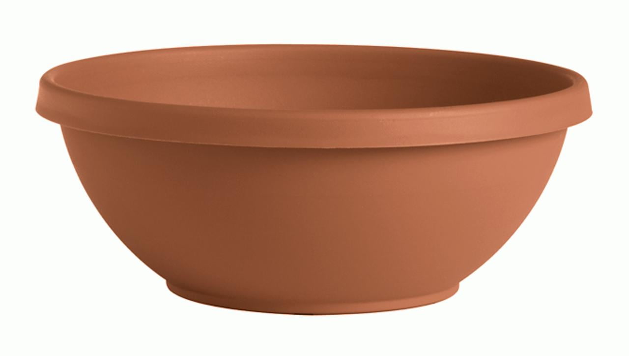 Terra cotta bowl planter