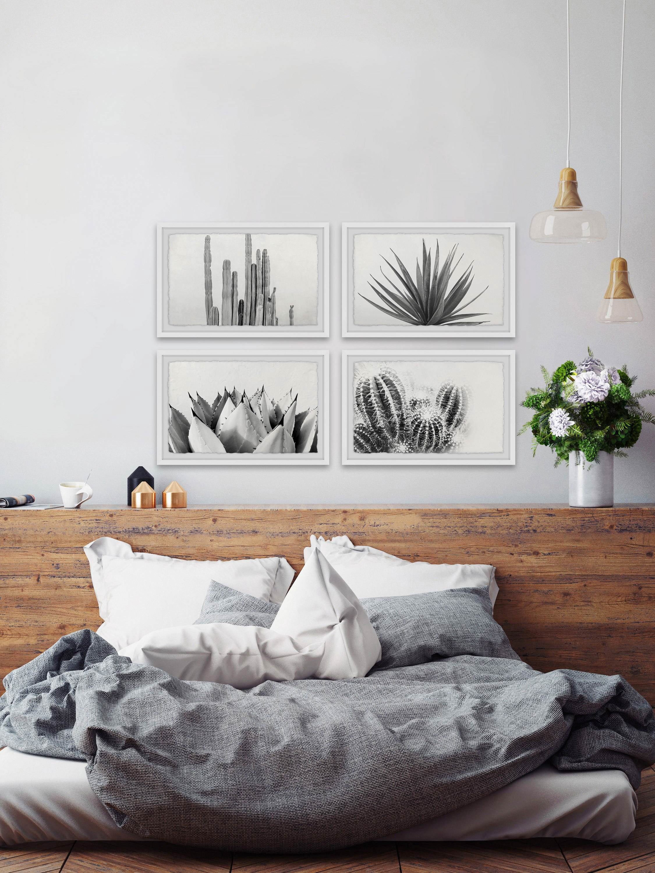 Marmont Hill Cactus Kinds Quadriptych by Morgan Hartley