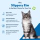thumbnail image 5 of Suplemento Pet Wellbeing Slippery Elm para gatos, 59 ml, 5 of 8