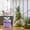 B, variant on Goowood Cute Humidifier 320mL Cool Mist Humidifie Mute With 2 Mist For Home/Nursery/ Portable Moisturizer Rechargeable Humidifier Humidifier Home appliances