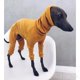 thumbnail image 1 of Ropa de cuello alto para perros grandes, ropa de Galgo Italiano, pijama de cuatro patas, suéter para mascotas, Mono para perros grandes, Invierno, 1 of 4