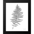 thumbnail image 2 of Wilson, Kelsey 20x24 Black Modern Framed Museum Art Print Titled - Neutral Fern II, 2 of 5