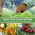thumbnail image 4 of Bird Netting, Keylever 25 x 25 FT, Reusable Chicken Wire Fencing Mesh, 3/4” Nylon Mesh Poultry Netting for Plants Fruit Trees Against Birds Deer Squirrels, 4 of 9
