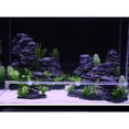thumbnail image 3 of BESTYASH 2 Ensembles Bande à Bulles pour Aquarium Transparent Sortie d'Air Uniforme, 3 of 8