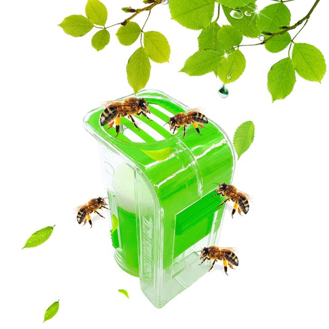Bee Queen Marking Catcher, equipo de apicultura, duradero, portátil, botellas pequeñas de plástico con para apicultores jardín al aire , VERDE CUTICAT Colector de abejas