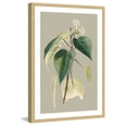 thumbnail image 3 of Marmont Hill "Botanical Cabinet II" Framed Painting Print, 3 of 5