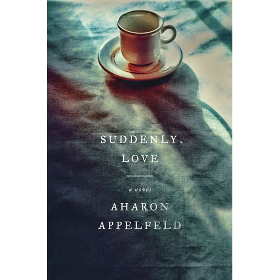 Suddenly, Love : A Novel (Paperback)