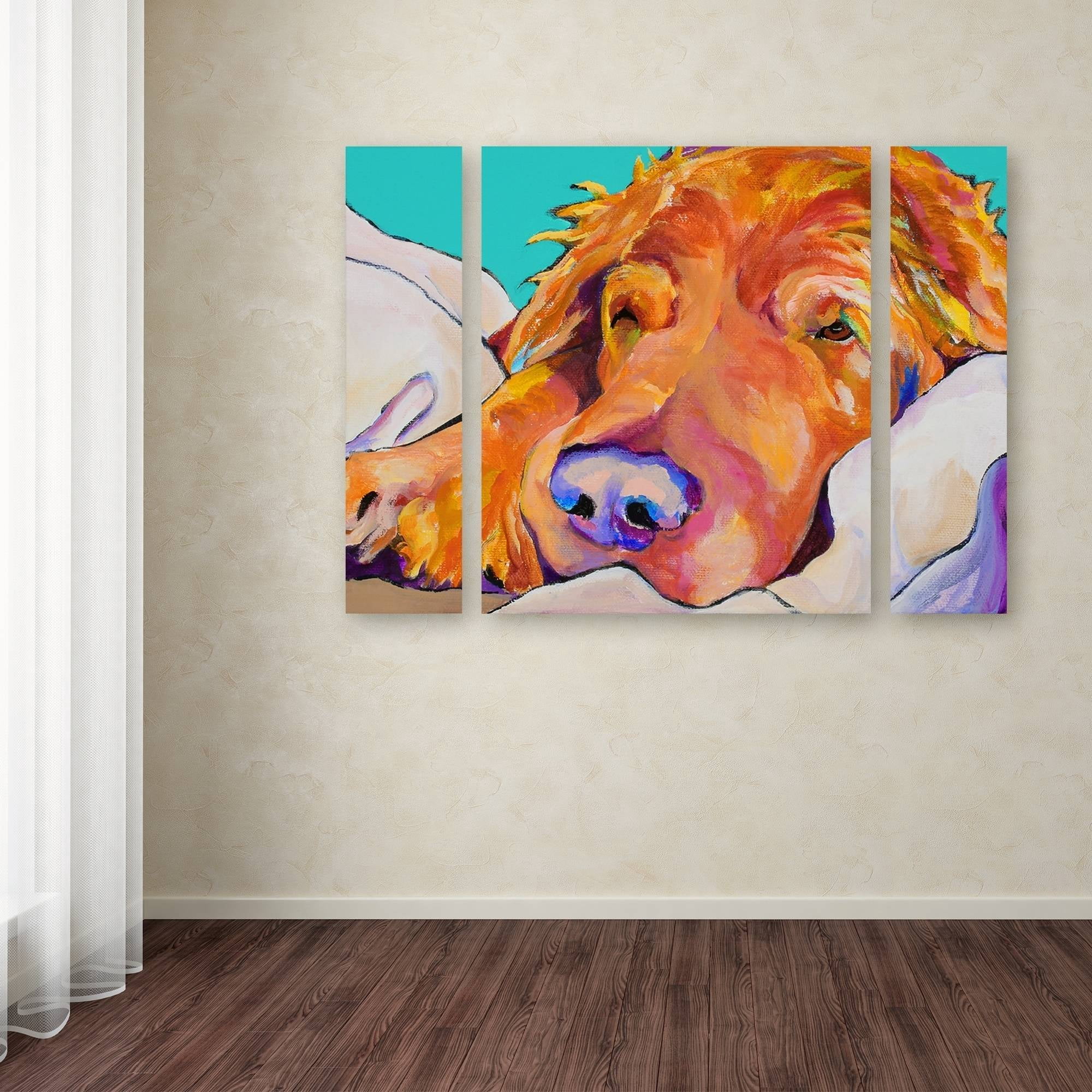 Trademark Fine Art "Snoozer King" Canvas Art by Pat Saunders-White Three Panel Set