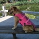 thumbnail image 5 of Chaleco salvavidas para perros, sirena de tiburón, chaleco salvavidas para perros, traje de baño de seguridad con mango de rescate para flotación de cachorros Ripstop, 5 of 5