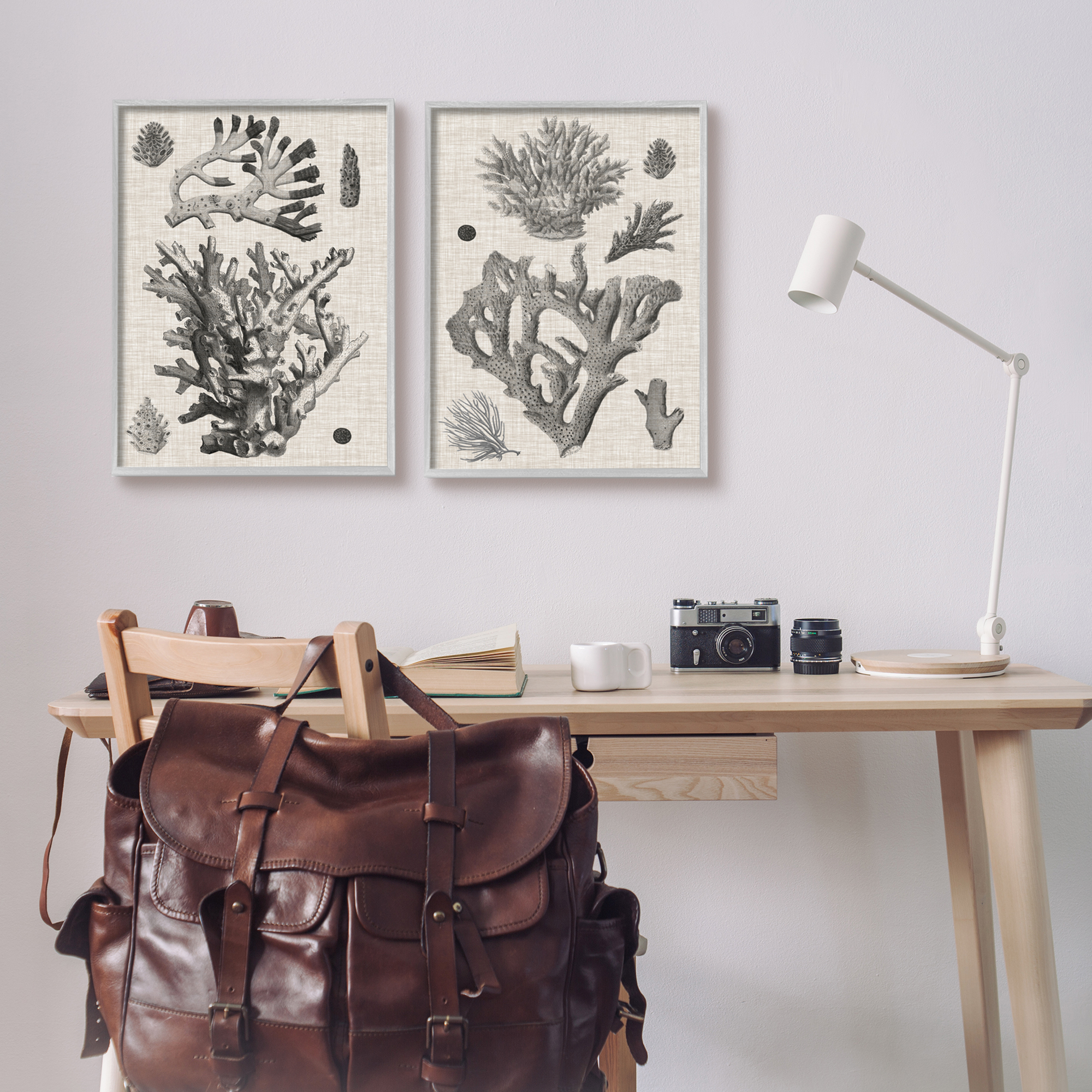 Stupell Industries Vintage Coral Study Animals & Insects Painting Gray Framed Art Print Wall Art, 16 x 20, Set of 2