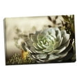 thumbnail image 2 of Gango Home Decor Succulent III by Karyn Millet (Ready to Hang); One 36x24in Hand-Stretched Canvas, 2 of 4