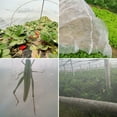 thumbnail image 5 of Fyeme Plant Netting Cover High-Density Polyethylene Garden Bird Barrier Breathable Garden Netting Mesh Tailorable Plant Protective Mesh for Vegetable Farm Potted Plant Courtyard, 5 of 11