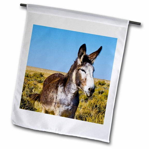 3dRose, USA, New Mexico, Bisti -De-Na-Zin Wilderness, Donkey, 12 x 18 inch Garden Flag
