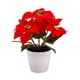 thumbnail image 1 of Lámpara de mesa navideña Sincero con flor de pascua y luces LED 5 cabezas 21 cm, 1 of 10