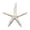 A-nnDh, variant on DVKOVI Mini Ocean Resin Animals Starfish Seashell Tiny Sea Models for Miniatures DIY Fish Tank Micro Landscaping D One Size