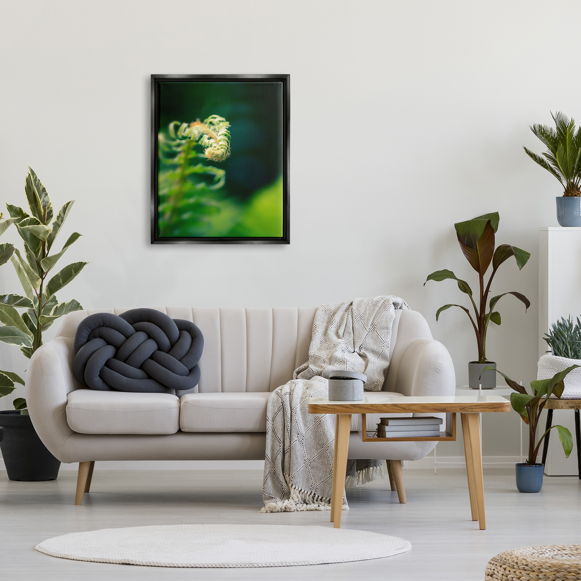 Stupell Fern Leaves Nature Photography Botanical & Floral Photography Black Floater Framed Art Print Wall Art