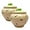 Bee 2 pcs, variant on Borisovskaya Keramika Stoneware Ramekin Clay Pots for Cooking (Beige) (Set of 2) (650 ml)