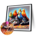 thumbnail image 2 of 5D DIY Full Drill Round Painting Kitten Parrot Kit Del 40x40cm, 2 of 7