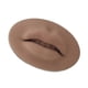 thumbnail image 2 of Scienceny Práctica de maquillaje permanente en 3D, modelo de labios y boca, adhesivo portátil, piel reutilizable, enseñanza escolar, entrenamiento Material de laboratorio Café Scienceny TO008711-02, 2 of 6
