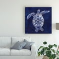 thumbnail image 3 of Trademark Fine Art 'Sea Turtle Shadow II' Canvas Art by Grace Popp, 3 of 4