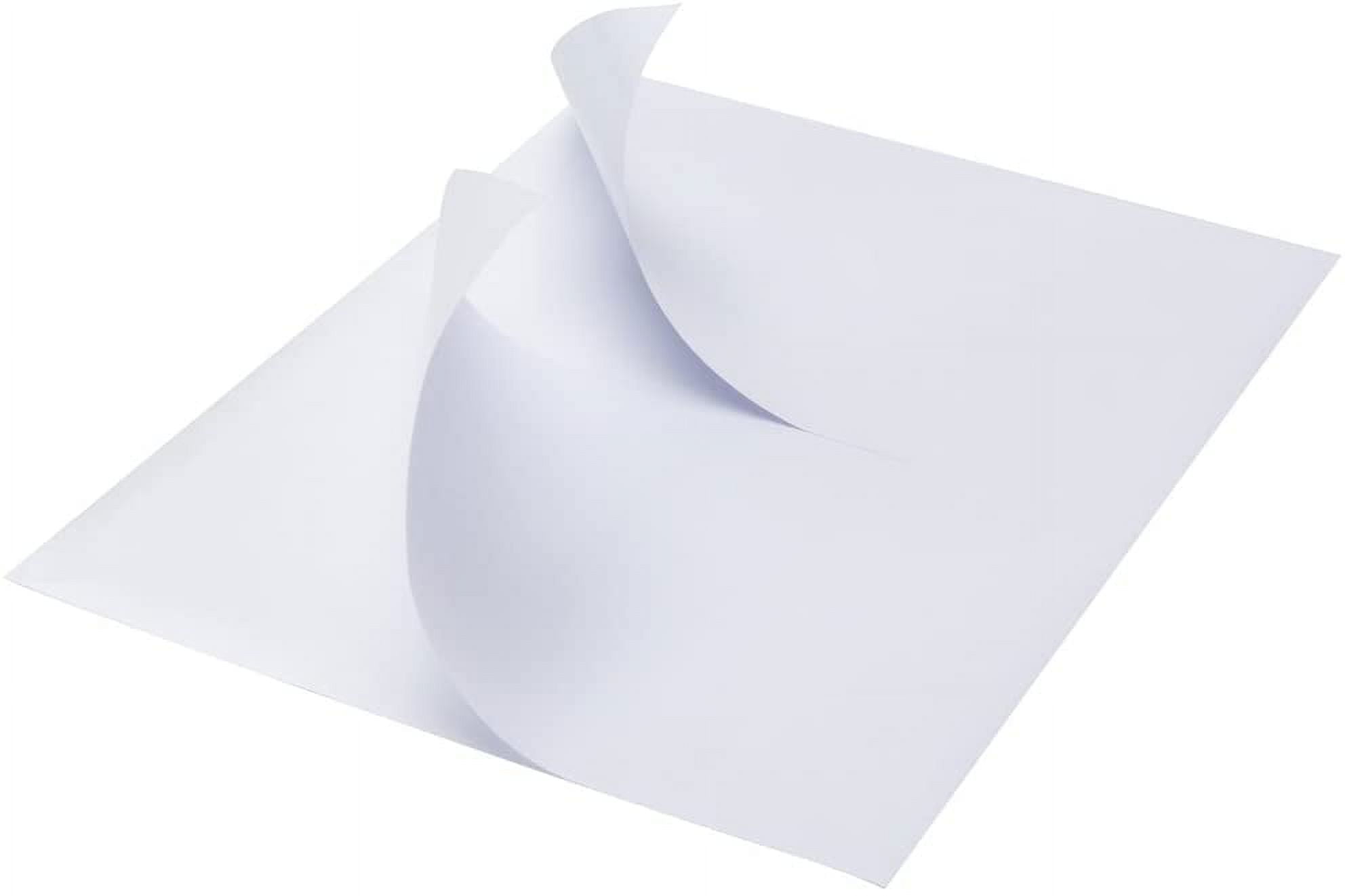 ProLine 1000 8.5x5.5 Premium Shipping Labels Half Sheet Self Adhesive USPS UPS FedEx USA (500 Sheets)