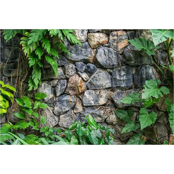 Aquarium Terrarium Backgrounds Main (Rock Wall With Plants, 48”L X 36”H)