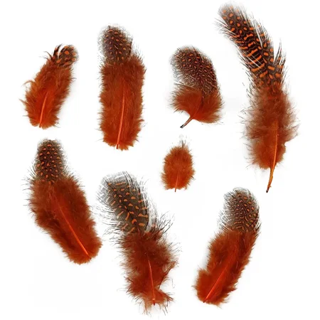 

Decorative Feathers 45-100mm 300 pieces (orange)