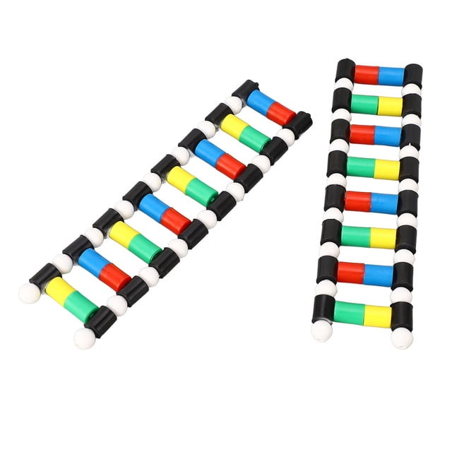 p>DNA Modèle d'Affichage, Couleurs Vives 2PCS Double Structure Modèle Assemblage Facile pour la Démonstration d'Expérience/p>