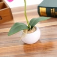 thumbnail image 3 of Planta de simulación pequeña maceta redonda Phalaenopsis bonsai simulación flor adornos de flores de seda D oso de fresa  Electrónica, 3 of 3
