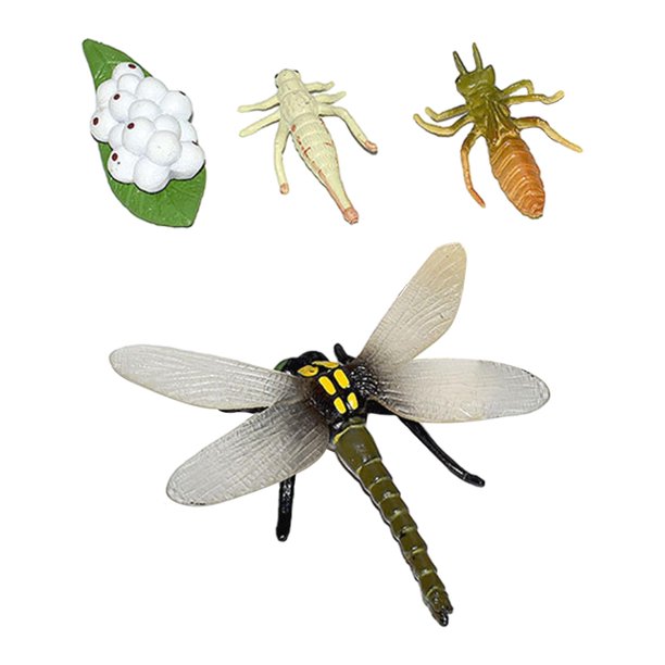 Juego de ciclo de crecimiento animal, juguetes Montessori, materiales didácticos para niños y niñas, rompecabezas libélula 7x7cm