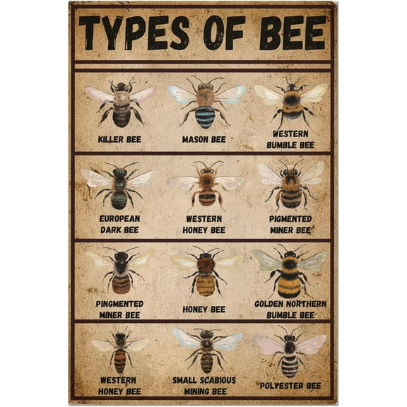 1pc Type of Bee Metal Tin Sign Retro Cafe Bar Tin Painting Plaque Wall Art Poster