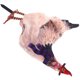 thumbnail image 5 of Garden Stake Chicken Silhouette Pastel de patio ACRYLIC ACRYLIC ARTE Art Rooster Yard para jardín, 5 of 5