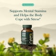 thumbnail image 3 of Gaia Herbs Rhodiola Rosea - Stress Support Supplement Traditionally for Supporting Healthy Stamina & Endurance* - With Siberian Rhodiola Root Extract - 120 Vegan Liquid Phyto-Caps (120 Servings), 3 of 9