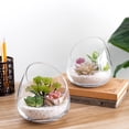 thumbnail image 2 of MyGift Clear Glass Succulent Plant Vases , Decorative Modern Storage Jars, Set of 2, 2 of 6