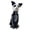 A-JHOV, variant on DVKOVI Halloween Dog Statue Sugar Skulls Animal Statue Resin Crafts Skeleton Sculpture for Home Desk Decorations A One Size
