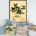 thumbnail image 2 of Designart 'Ancient Plant Life III' Traditional Framed Canvas Wall Art Print, 2 of 5