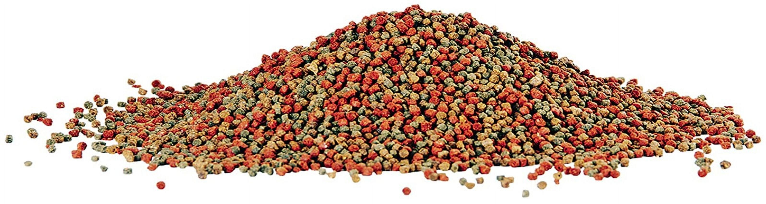 Aqueon Tropical Granules Fish Food [Aquarium Tropical Fish Food, Aquarium Supplies] 39 oz (6 x 6.5 oz)